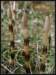 Photo Number 97